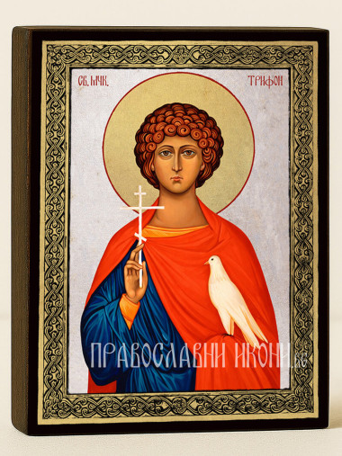 Икона на Св. Трифон със сребърен фон и златна рамка