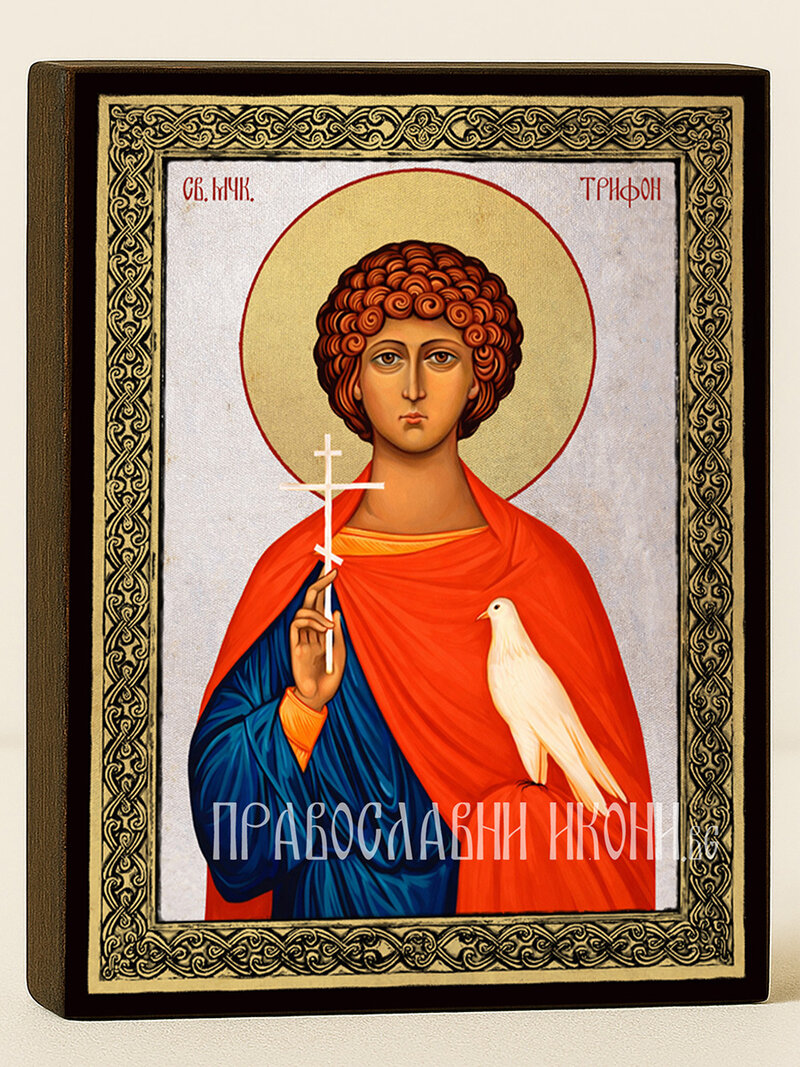 Икона на Св. Трифон със сребърен фон и златна рамка